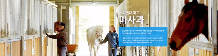서라벌대학교 마사과 서라벌대학교 마사과