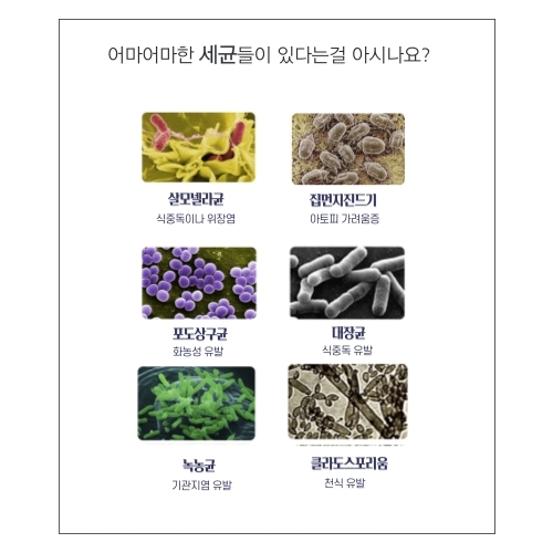  곰팡이 예방법 @제주시 입주청소@서이추