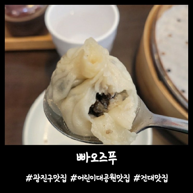 내돈내산)광진구맛집  어린이대공원맛집 만두맛집 [빠오즈푸]