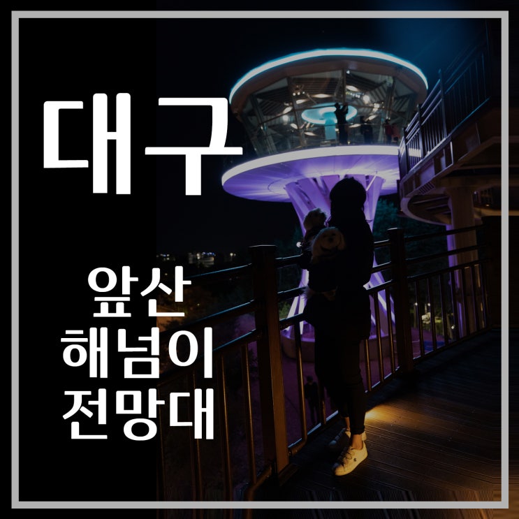  [대구여행] 앞산 해넘이 전망대, 빨래터 공원, 대구야경