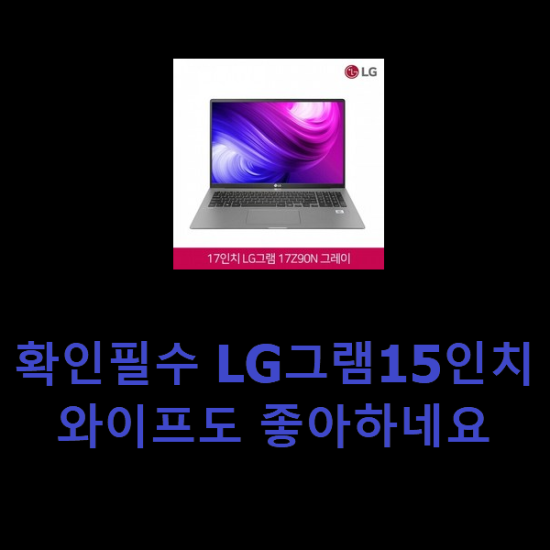 확인필수 LG그램15인치 와이프도 좋아하네요