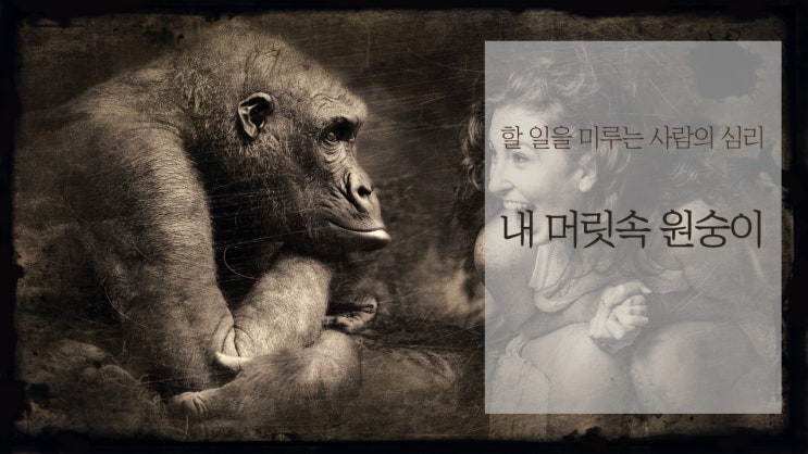  내 하루를 조종하는 게.... 원숭이? [의지, 의지박약]