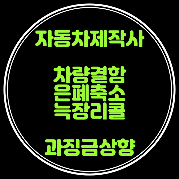  자동차리콜 늑장대응, 차량결함 은폐축소 과징금상향