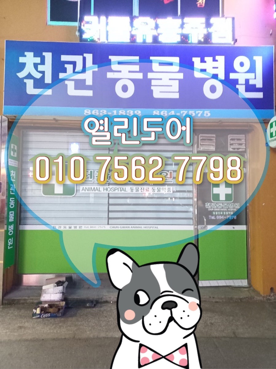 천관동물병원 사진 1