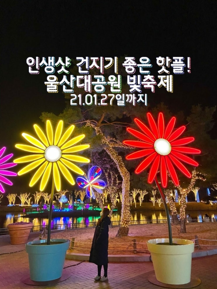  국내여행 울산여행 경상도여행 데이트코스/도심속에서 무료로 즐기는 빛의향연 울산대공원빛축제!