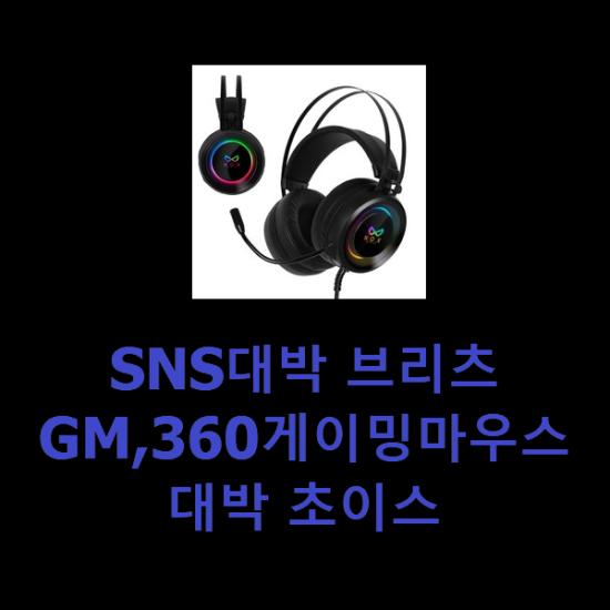 SNS대박 브리츠GM,360게이밍마우스 대박 초이스