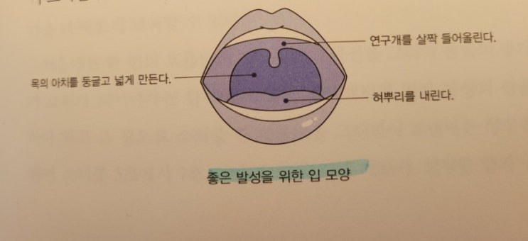  보이스 트레이닝으로 목소리 교정하여 당당해지자(1강)