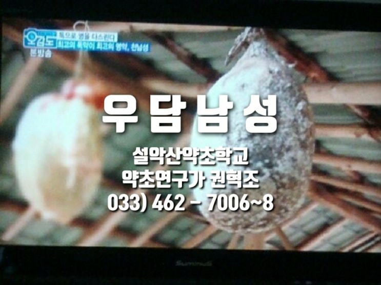 우담남성효능