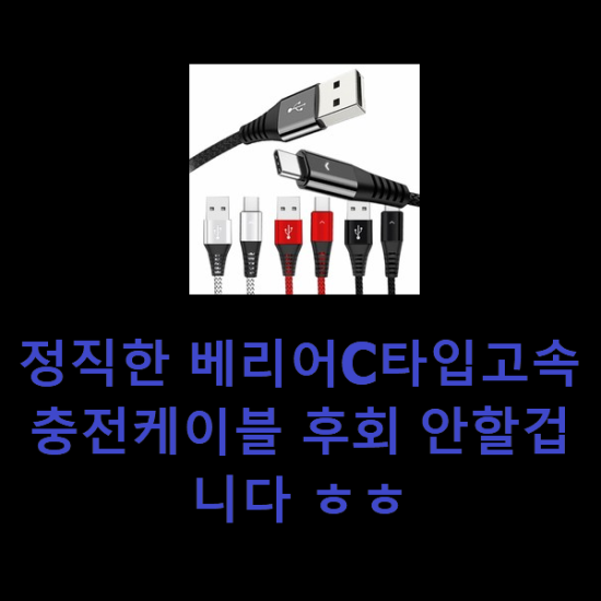 정직한 베리어C타입고속충전케이블 후회 안할겁니다 ㅎㅎ