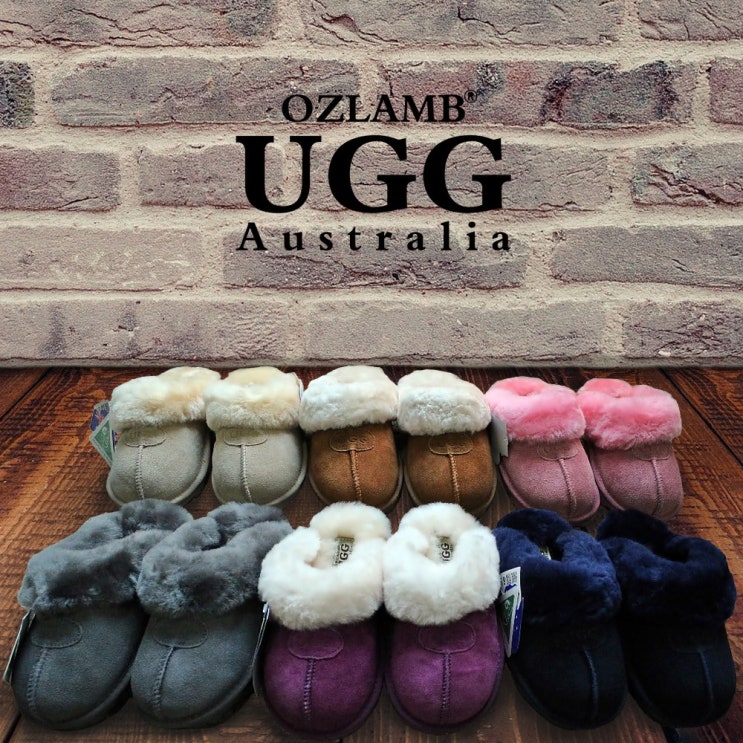 가성비갑 UGG 호주정품 오즈램 어그 양털 슬리퍼 코켓 천송이 Coquette 추천해요 가성비갑 UGG 호주정품 오즈램 어그 양털 슬리퍼 코켓 천송이 Coquette 추천해요