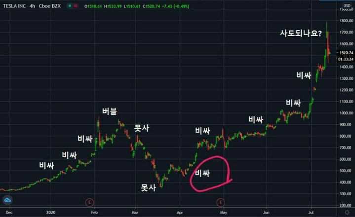  테슬라 주가, 그리고 지난 장의 하우스푸어