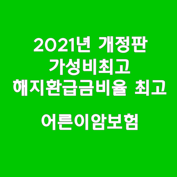  2021년 흥국 어른이암보험 무해지 납입후 10%,50%유해지환급금지급형,표준환급률지급형