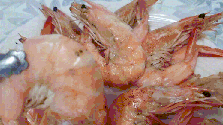 새우 택배 흰다리새우 소금구이 만들기, 프레슈림 새우 택배 흰다리새우 소금구이 만들기, 프레슈림