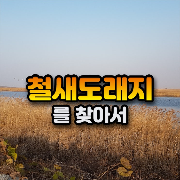 화성 숨겨진 철새 도래지