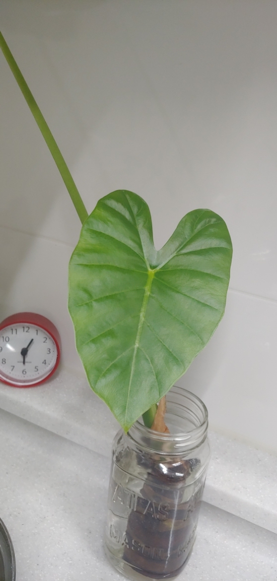  넌 감동이었어