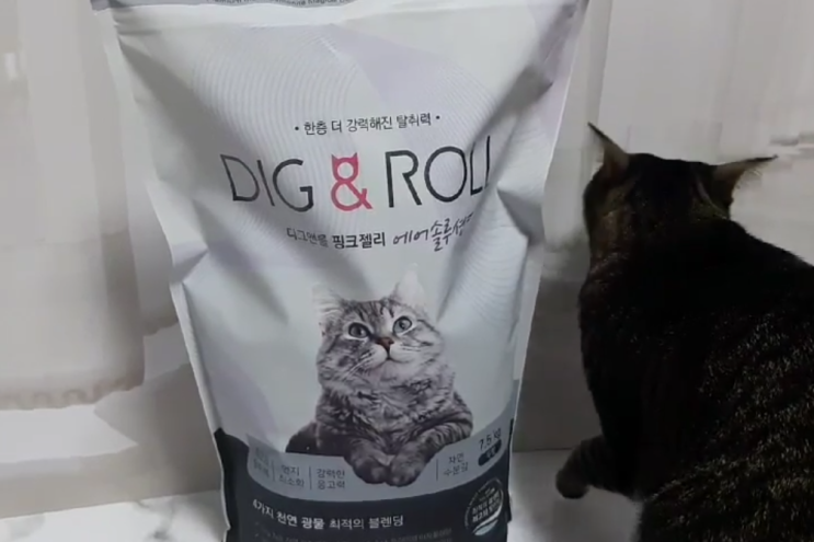  디그앤롤 고양이모래추천 탈취력 좋은 벤토나이트