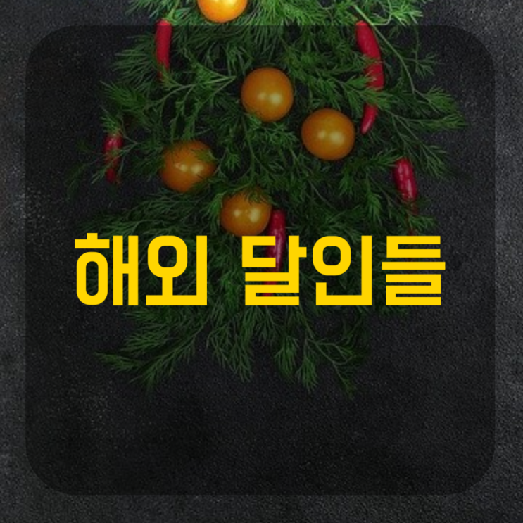  해외 달인들