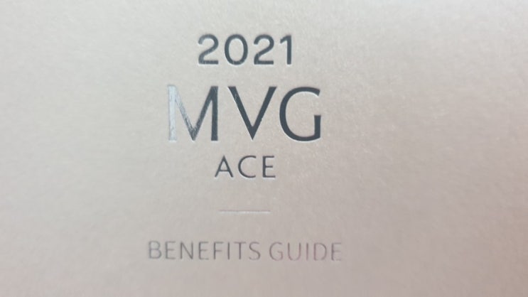  롯데백화점 MVG ACE 혜택 총정리