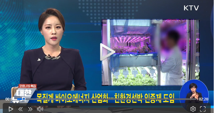 목질계 바이오에너지 산업화···친환경선박 인증제 도입 목질계 바이오에너지 산업화···친환경선박 인증제 도입