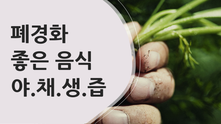  폐경화에 좋은음식 야채생즙