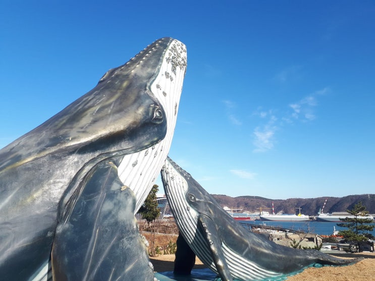  공업단지 울산의 반전 매력 여행지