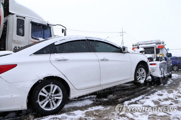 [SIU 보험조사파일] 사고 차 1대에 70만원 뒷돈…'제보' 콜센터도 운영