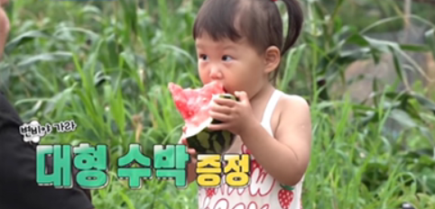 도경완의 수박 한 입 도경완의 수박 한 입