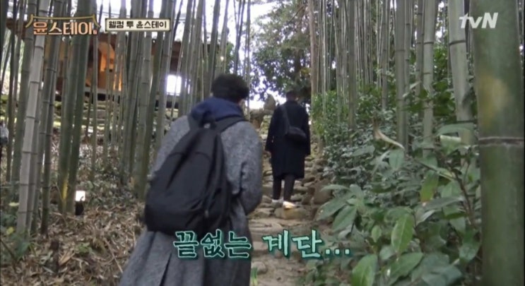 < 윤스테이 나영석 한옥 외국인 체험 윤여정 이서진 박서준 최우식 영어 재발견!!