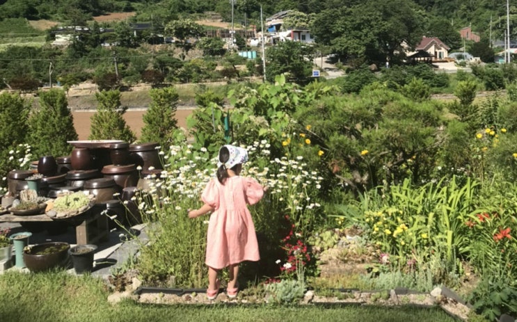  충북 단양 한옥마을 보상재
