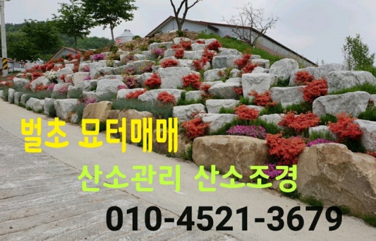  김천장의사