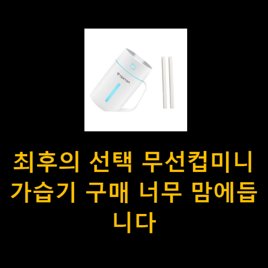 최후의 선택 무선컵미니가습기 구매 너무 맘에듭니다 최후의 선택 무선컵미니가습기 구매 너무 맘에듭니다