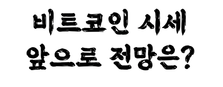  미쳐버린 비트코인 가격 시세 전망은?