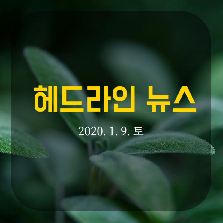  헤드라인 뉴스모음