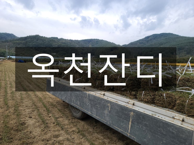  산과 호수가 아름다운 옥천 잔디 배송