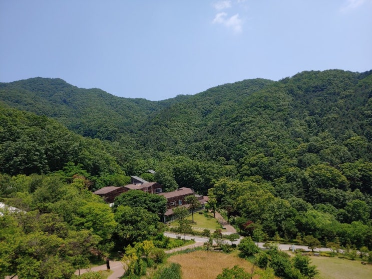  강원도 홍천 힐리언스선마을