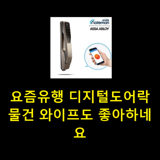 요즘유행 디지털도어락 물건 와이프도 좋아하네요 요즘유행 디지털도어락 물건 와이프도 좋아하네요