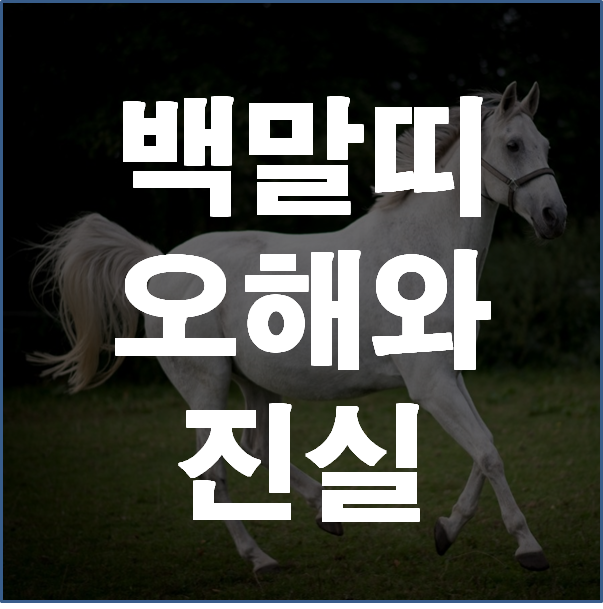  백말띠, 그것이 알고 싶다. 몇 년생이 백말띠인가?