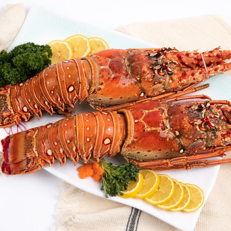 리뷰가 좋은 정글의법칙 더쏠 크레이피쉬 랍스터, 1마리 1kg~1.2kg 추천합니다 리뷰가 좋은 정글의법칙 더쏠 크레이피쉬 랍스터, 1마리 1kg~1.2kg 추천합니다