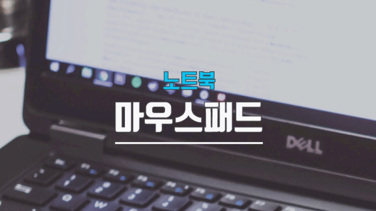  노트북 마우스패드 잠금 해제 방법 삼성, LG 공통