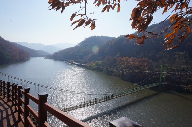  경남 함안 입곡 군립 공원 가을 단풍구경가기 좋은곳