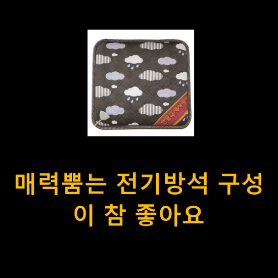 매력뿜는 전기방석 구성이 참 좋아요 매력뿜는 전기방석 구성이 참 좋아요