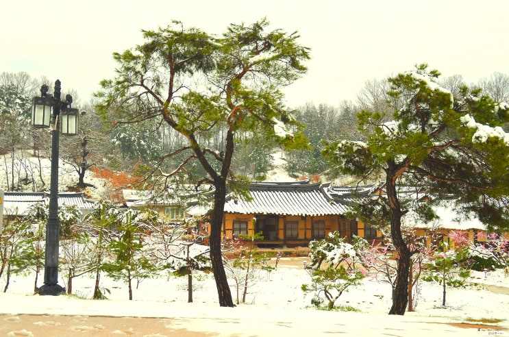  설날 아침에 / 김종길