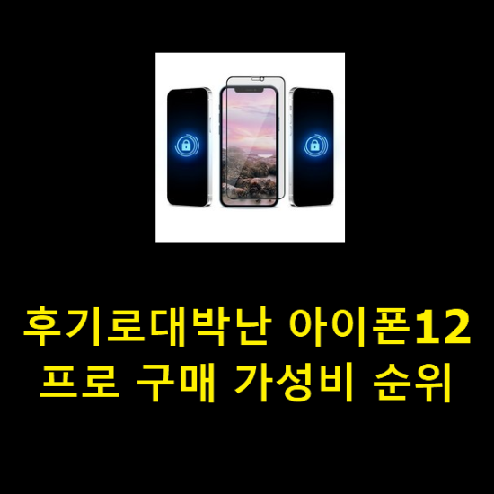 후기로대박난 아이폰12프로 구매 가성비 순위 후기로대박난 아이폰12프로 구매 가성비 순위