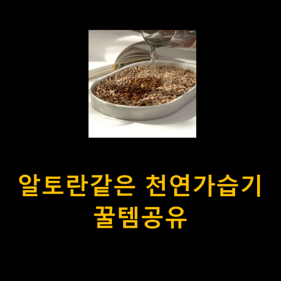알토란같은 천연가습기 꿀템공유 알토란같은 천연가습기 꿀템공유