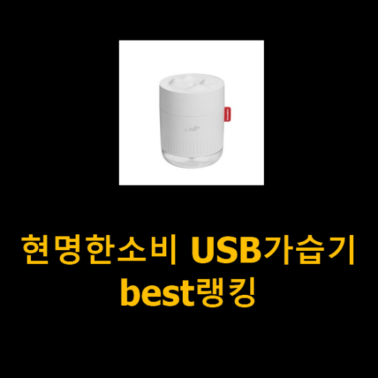 현명한소비 USB가습기 best랭킹 현명한소비 USB가습기 best랭킹