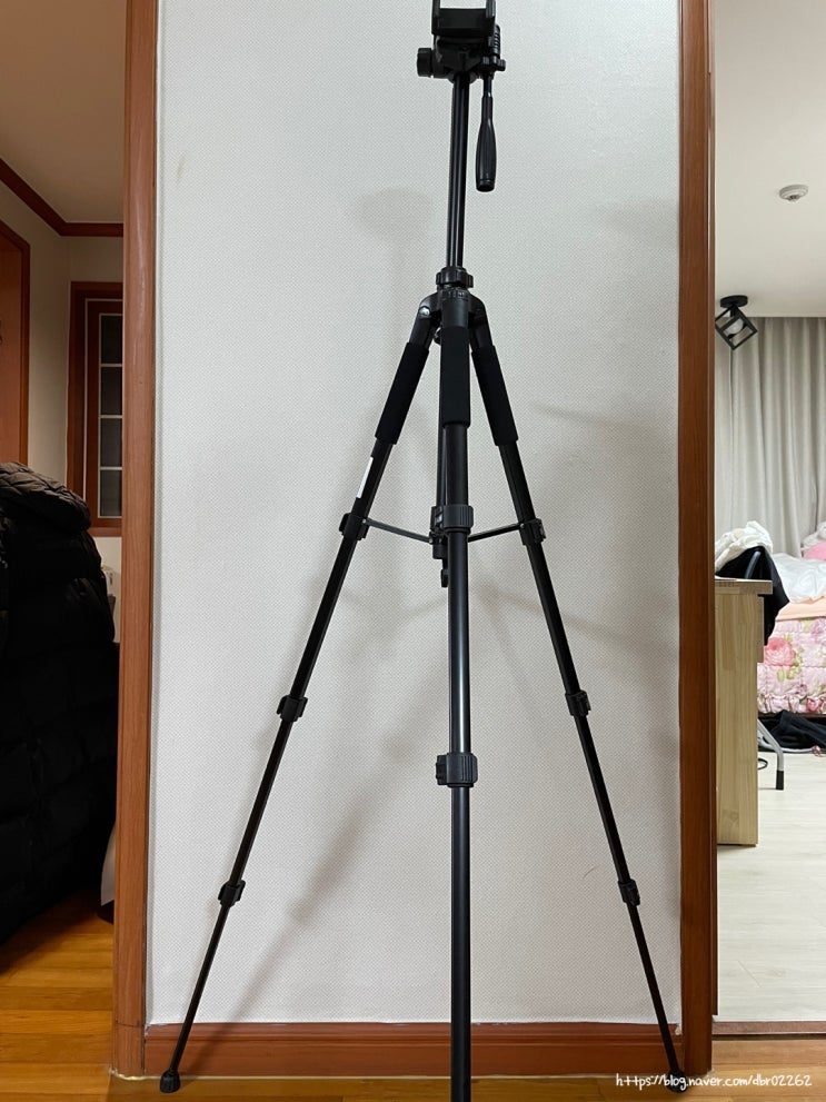 디씨네트워크 : 엄청 긴 카메라 스마트폰 삼각대 내돈내산 솔직후기
