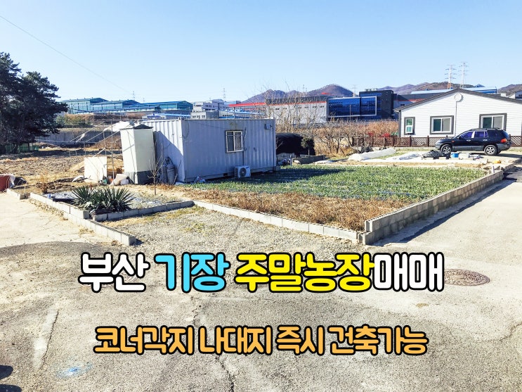  기장부동산(3-57) 코너각지 주말농장으로 사용하다 은퇴후 건축하기 좋은 부산 기장땅 162m2 매매 입니다