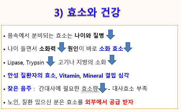 대사 효소 및 소화 효소의 모든 중요성을 가진 권장 제품