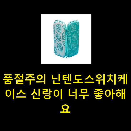 품절주의 닌텐도스위치케이스 신랑이 너무 좋아해요 품절주의 닌텐도스위치케이스 신랑이 너무 좋아해요