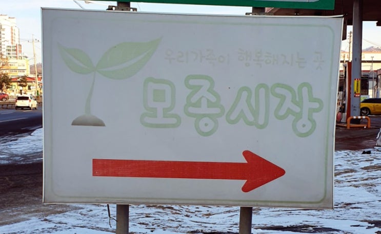  갑조네 모종시장 직접 방문 식쇼일기